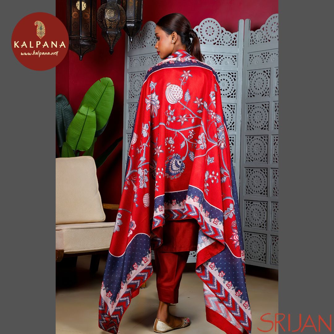 A Line Chintz Chanderi Salwar Kameez