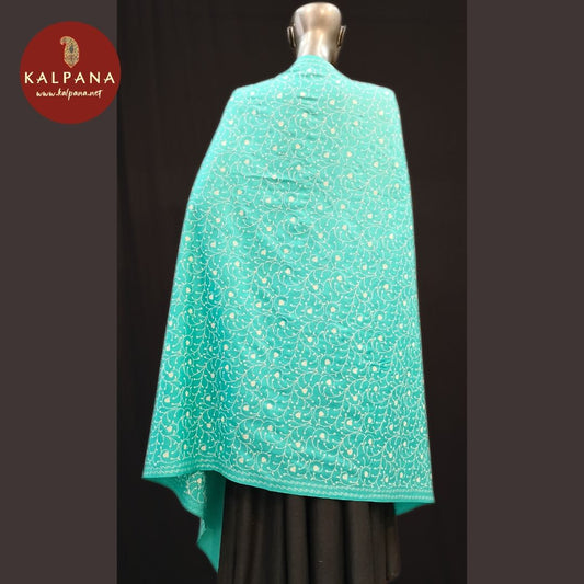 Teal Woven Woolen Shawls
with Woven Teal Color Border

Which is Perfect for Semi,Formal,Wear in winter season(s). Dry Clean Only.
Length: 2.4 mts
Country Of Origin:India
Weight: 300 gms